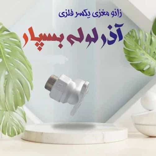 1709100843925.webp