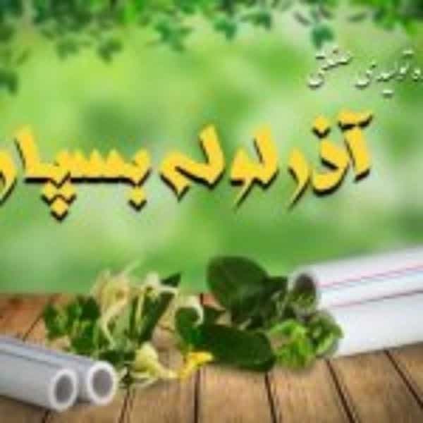 1702880041426.webp